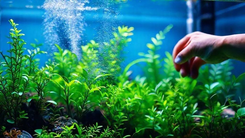 7 Passos Essenciais: Estabilize o CO2 Pós-Manutenção Profunda em Aquários Plantados